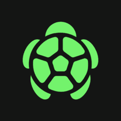 Turtle project icon