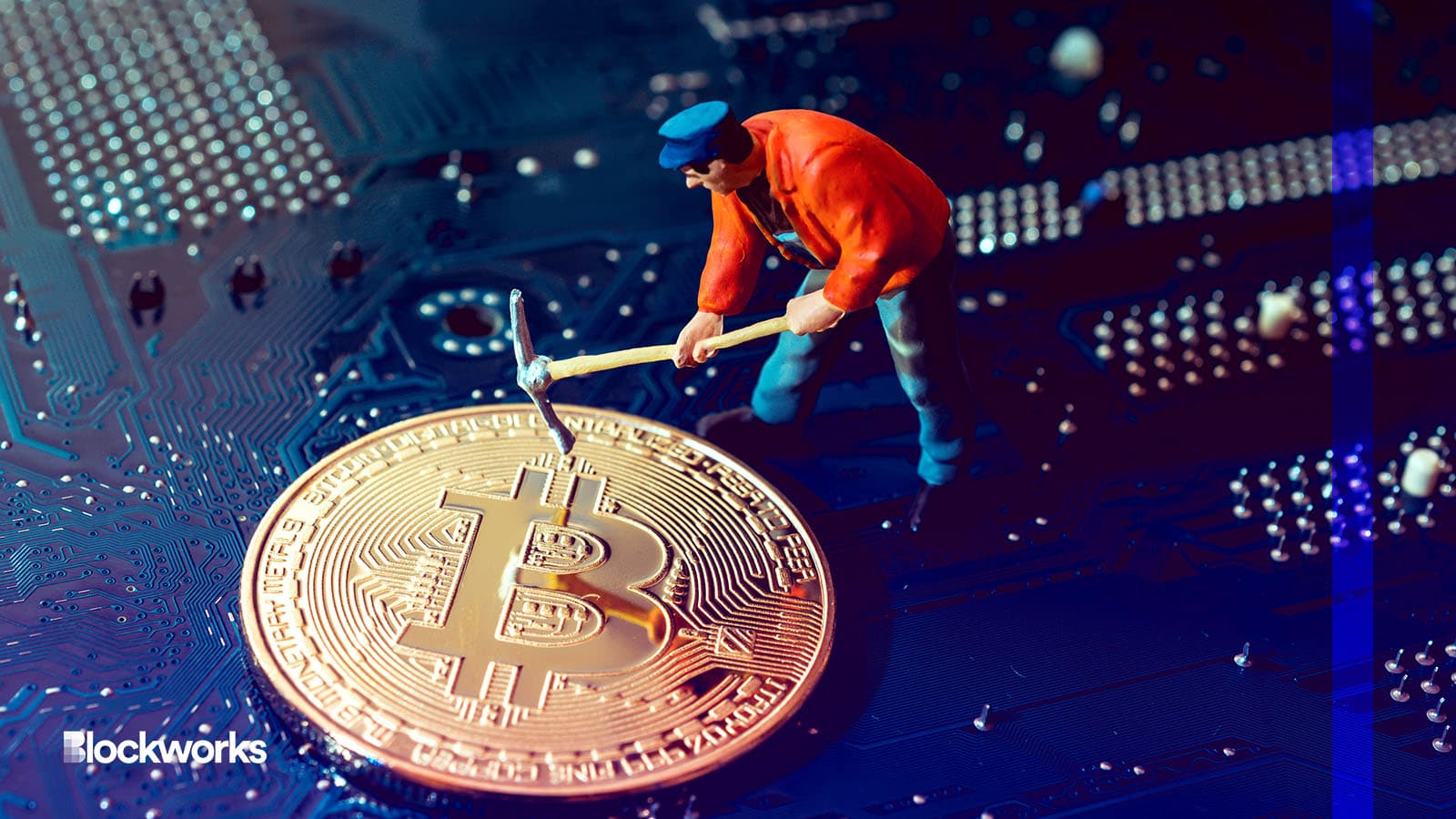 article-image