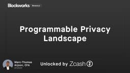 Programmable Privacy Landscape
