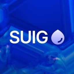 SUI Group Holdings project icon