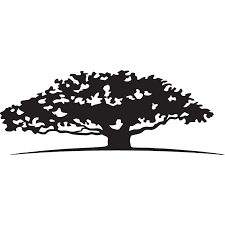 WisdomTree project icon