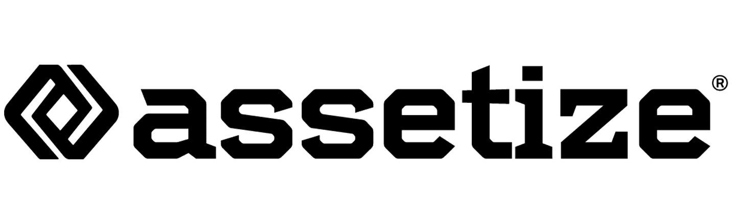 Assetize