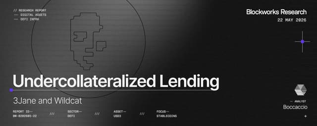 Undercollateralized Lending Landscape